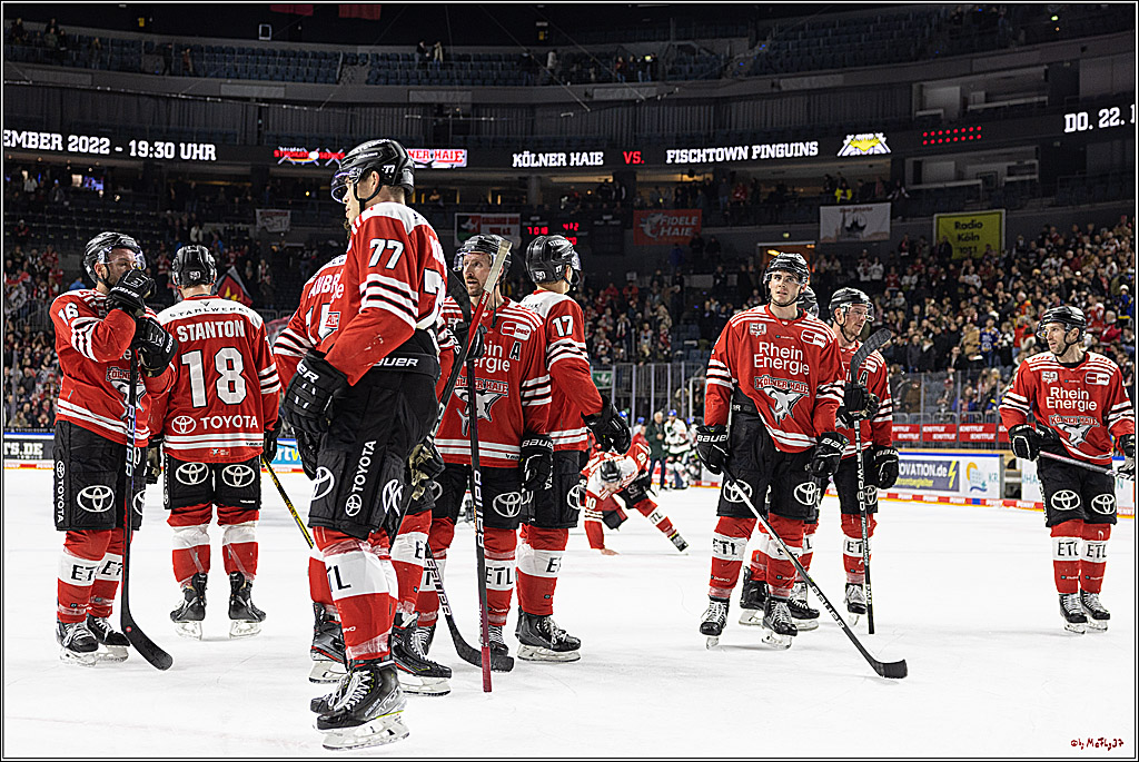 PENNY DEL;  Kölner Haie - Augsburger Panther; Köln, 20.12.2022